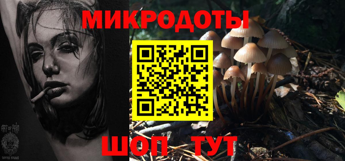Россия  Псилоцибиновые грибы Psilocybe  Вход с VPN 