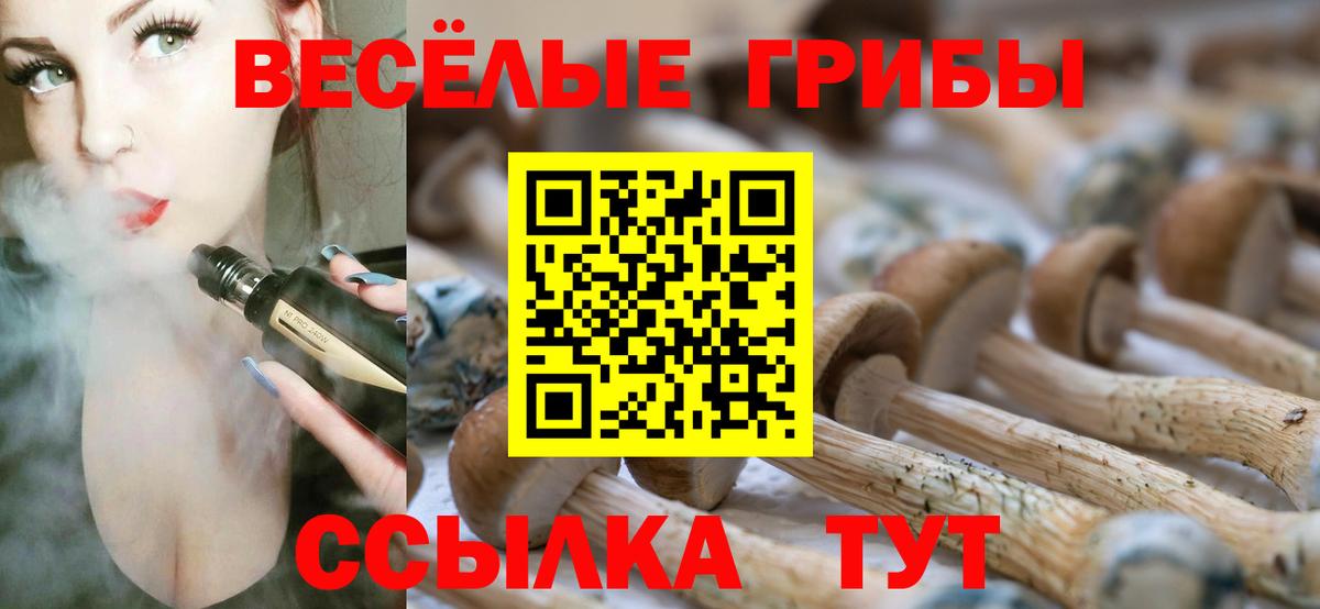 Галлюциногенные грибы MAGIC MUSHROOMS Россия
